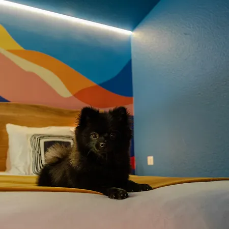 Hotel Big Sky &