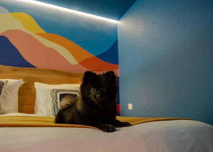 Hotel Big Sky &